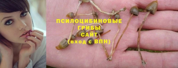 ГАЛЛЮЦИНОГЕННЫЕ ГРИБЫ Балахна