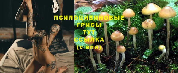 ГАЛЛЮЦИНОГЕННЫЕ ГРИБЫ Балахна