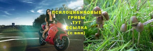 ГАЛЛЮЦИНОГЕННЫЕ ГРИБЫ Балахна