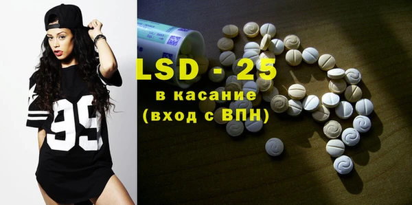 ГАЛЛЮЦИНОГЕННЫЕ ГРИБЫ Балахна