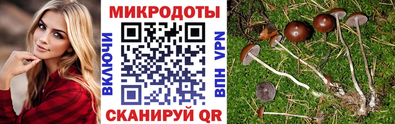 Псилоцибиновые грибы прущие грибы  хочу наркоту  Северобайкальск 